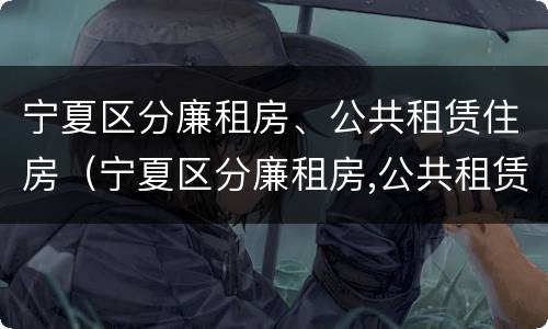 宁夏区分廉租房、公共租赁住房（宁夏区分廉租房,公共租赁住房和住宅）