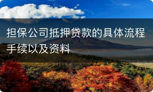 担保公司抵押贷款的具体流程手续以及资料