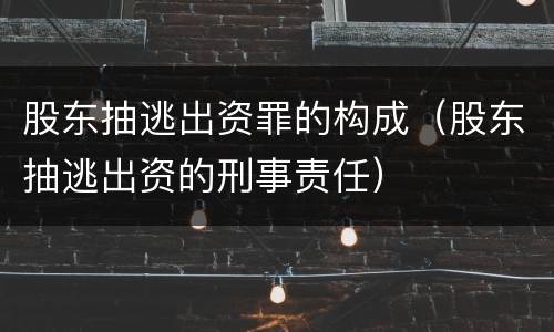 股东抽逃出资罪的构成（股东抽逃出资的刑事责任）