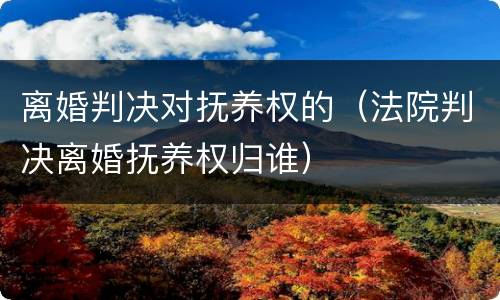 离婚判决对抚养权的（法院判决离婚抚养权归谁）