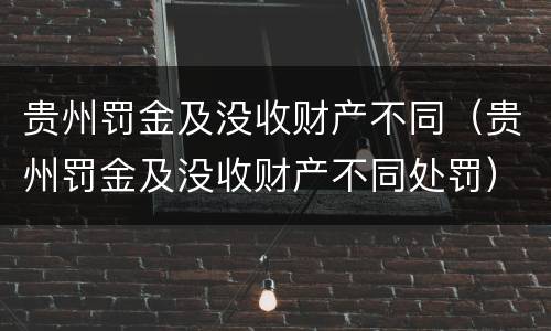 贵州罚金及没收财产不同（贵州罚金及没收财产不同处罚）
