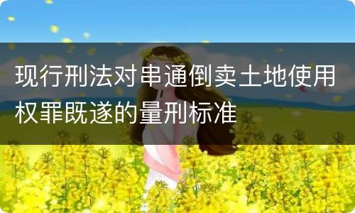现行刑法对串通倒卖土地使用权罪既遂的量刑标准