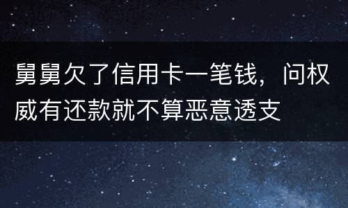 舅舅欠了信用卡一笔钱，问权威有还款就不算恶意透支
