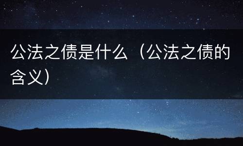 公法之债是什么（公法之债的含义）