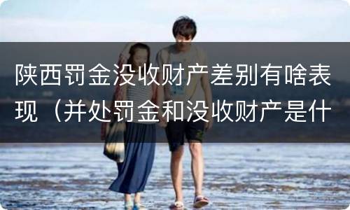陕西罚金没收财产差别有啥表现（并处罚金和没收财产是什么意思）