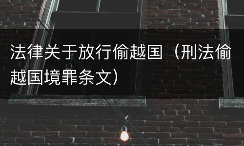 法律关于放行偷越国（刑法偷越国境罪条文）