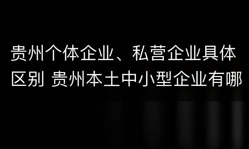 贵州个体企业、私营企业具体区别 贵州本土中小型企业有哪些