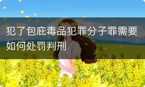 犯了包庇毒品犯罪分子罪需要如何处罚判刑