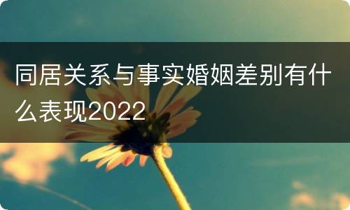 同居关系与事实婚姻差别有什么表现2022