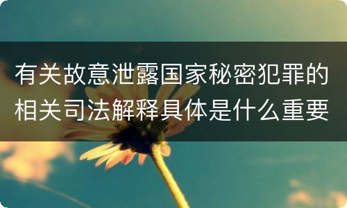 有关故意泄露国家秘密犯罪的相关司法解释具体是什么重要规定