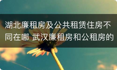 湖北廉租房及公共租赁住房不同在哪 武汉廉租房和公租房的区别