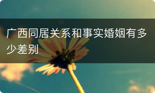 广西同居关系和事实婚姻有多少差别