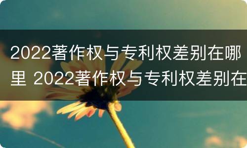 2022著作权与专利权差别在哪里 2022著作权与专利权差别在哪里呢