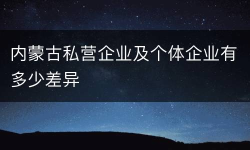 内蒙古私营企业及个体企业有多少差异