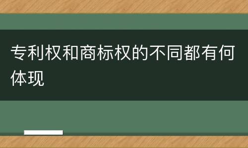 专利权和商标权的不同都有何体现