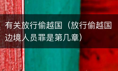 有关放行偷越国（放行偷越国边境人员罪是第几章）