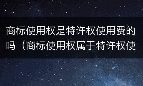 商标使用权是特许权使用费的吗（商标使用权属于特许权使用费吗）