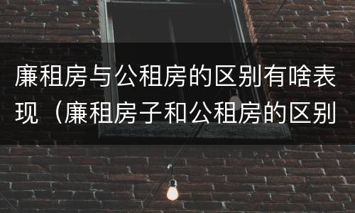 廉租房与公租房的区别有啥表现（廉租房子和公租房的区别）