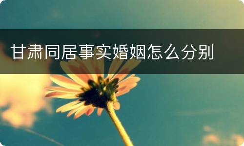 甘肃同居事实婚姻怎么分别