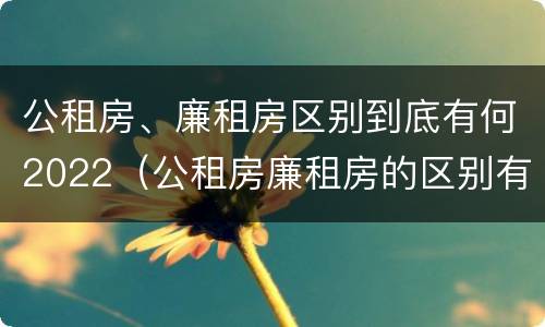 公租房、廉租房区别到底有何2022（公租房廉租房的区别有哪些）