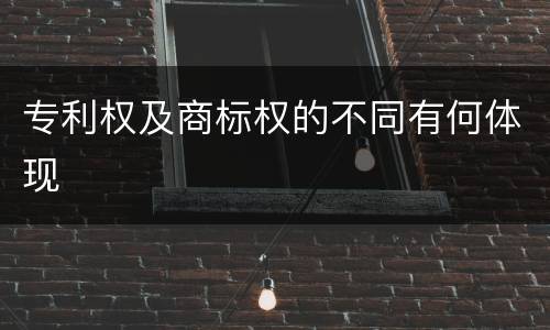 专利权及商标权的不同有何体现