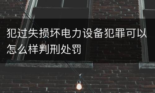 犯过失损坏电力设备犯罪可以怎么样判刑处罚