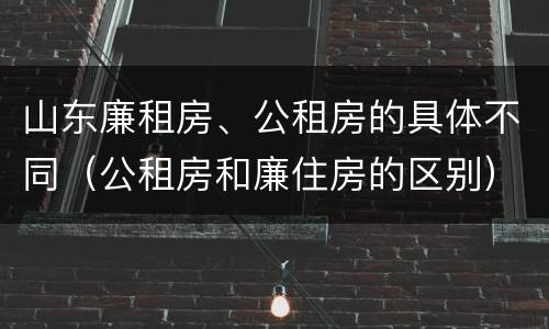 山东廉租房、公租房的具体不同（公租房和廉住房的区别）