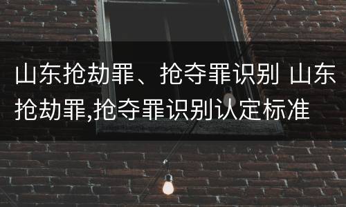 山东抢劫罪、抢夺罪识别 山东抢劫罪,抢夺罪识别认定标准