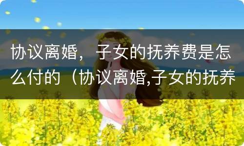 协议离婚，子女的抚养费是怎么付的（协议离婚,子女的抚养费是怎么付的呀）