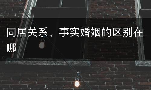 同居关系、事实婚姻的区别在哪