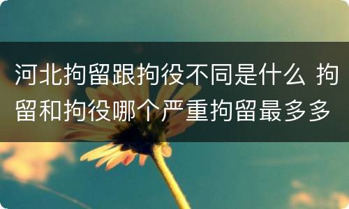 河北拘留跟拘役不同是什么 拘留和拘役哪个严重拘留最多多少天