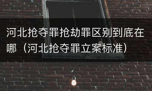 河北抢夺罪抢劫罪区别到底在哪（河北抢夺罪立案标准）