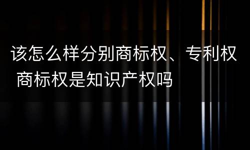 该怎么样分别商标权、专利权 商标权是知识产权吗