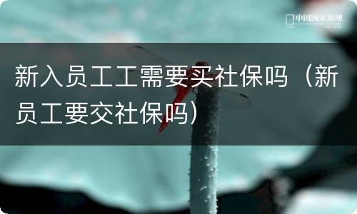 新入员工工需要买社保吗（新员工要交社保吗）