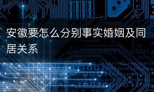 安徽要怎么分别事实婚姻及同居关系