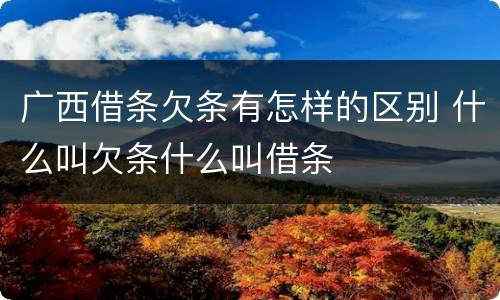 广西借条欠条有怎样的区别 什么叫欠条什么叫借条