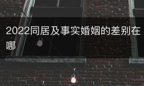 2022同居及事实婚姻的差别在哪