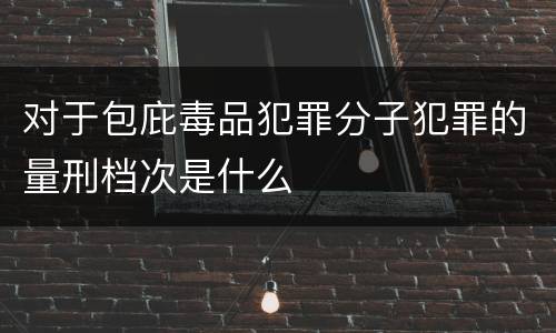 对于包庇毒品犯罪分子犯罪的量刑档次是什么
