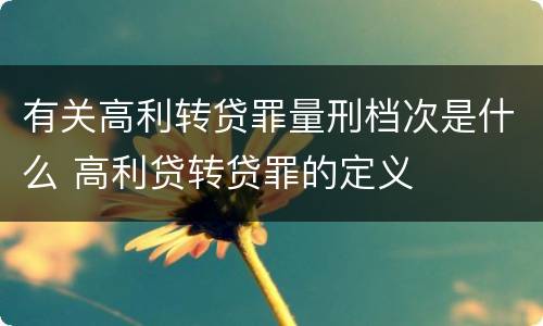 有关高利转贷罪量刑档次是什么 高利贷转贷罪的定义