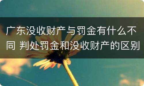 广东没收财产与罚金有什么不同 判处罚金和没收财产的区别