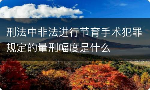 刑法中非法进行节育手术犯罪规定的量刑幅度是什么
