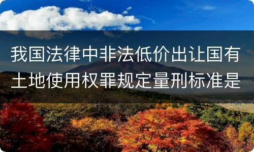 我国法律中非法低价出让国有土地使用权罪规定量刑标准是怎样