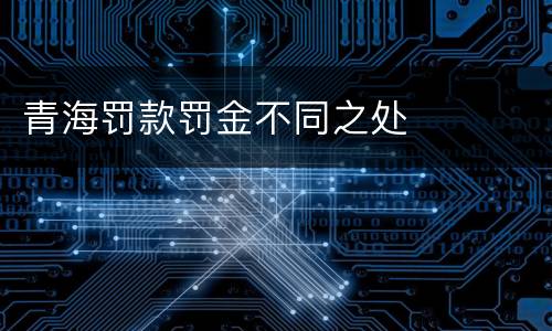 青海罚款罚金不同之处
