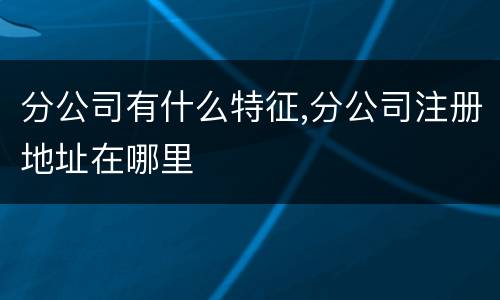 分公司有什么特征,分公司注册地址在哪里