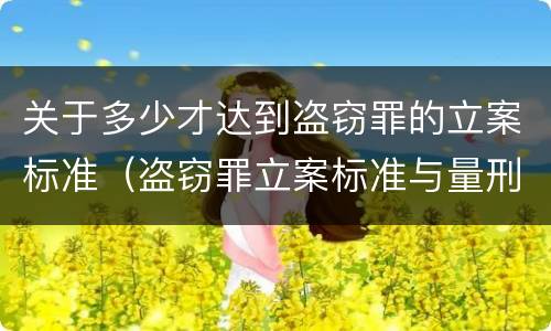 关于多少才达到盗窃罪的立案标准（盗窃罪立案标准与量刑标准）