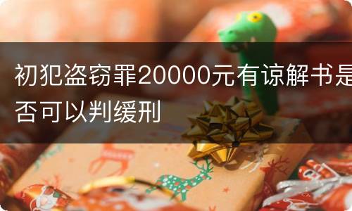 初犯盗窃罪20000元有谅解书是否可以判缓刑