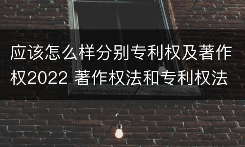 应该怎么样分别专利权及著作权2022 著作权法和专利权法