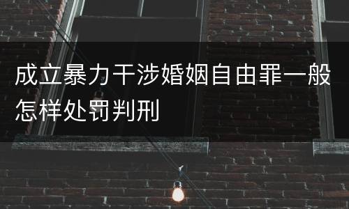 成立暴力干涉婚姻自由罪一般怎样处罚判刑