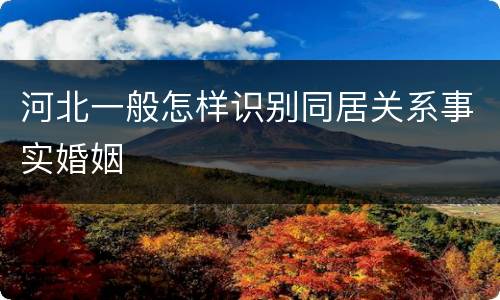 河北一般怎样识别同居关系事实婚姻
