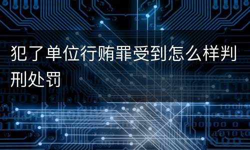 犯了单位行贿罪受到怎么样判刑处罚